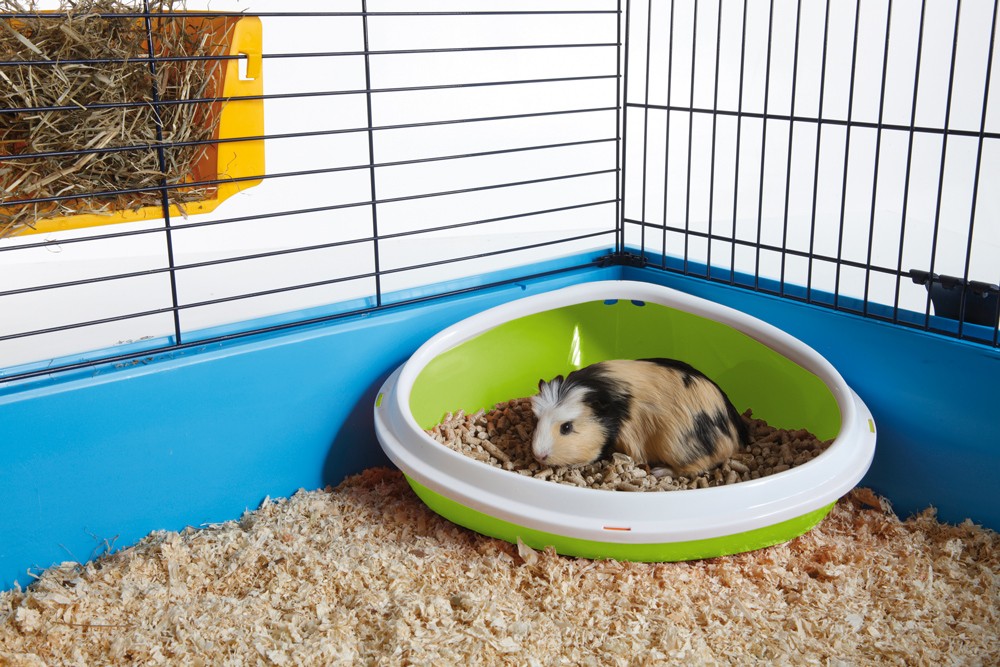 Toaletă pentru rozătoare 'CONCHA' | mediu | 36 x 26,5 x 15,5 cm