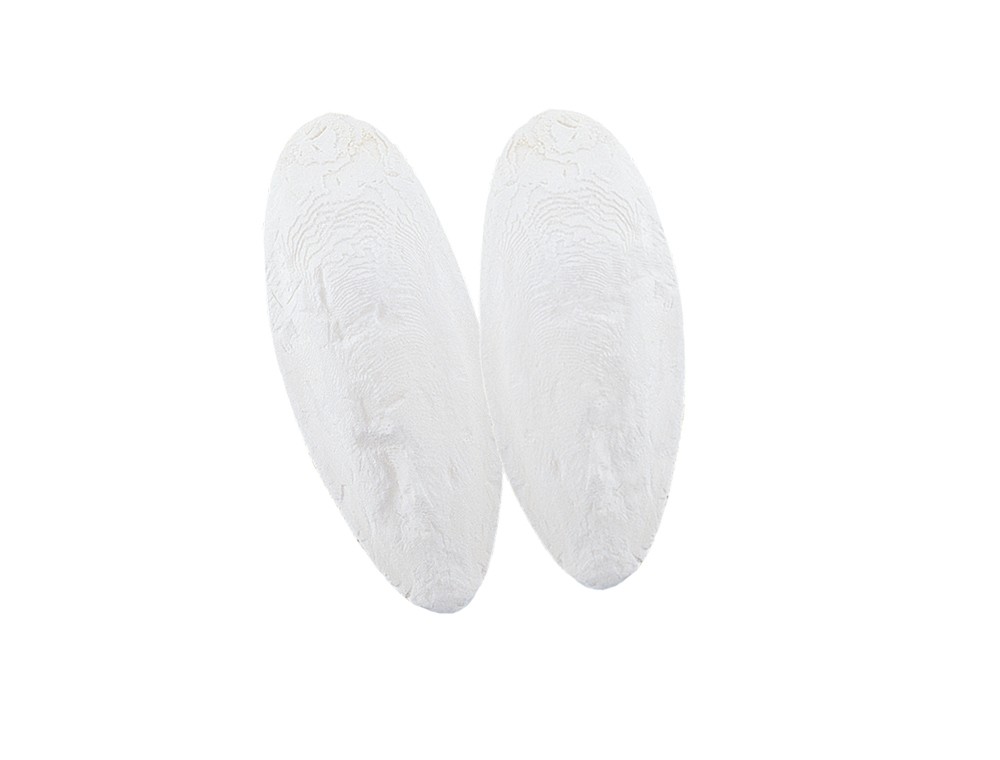 Os de sepie 3-4 Inch pentru păsări | Punga aprox. 1 kg