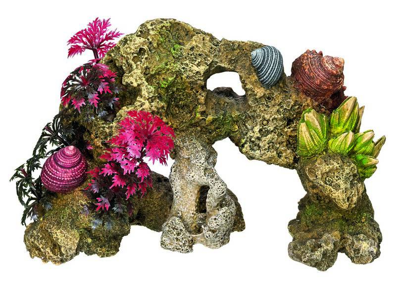 Ornament pentru acvariu | CORAL STONE - cu plante | L18,5 X W8 X H12