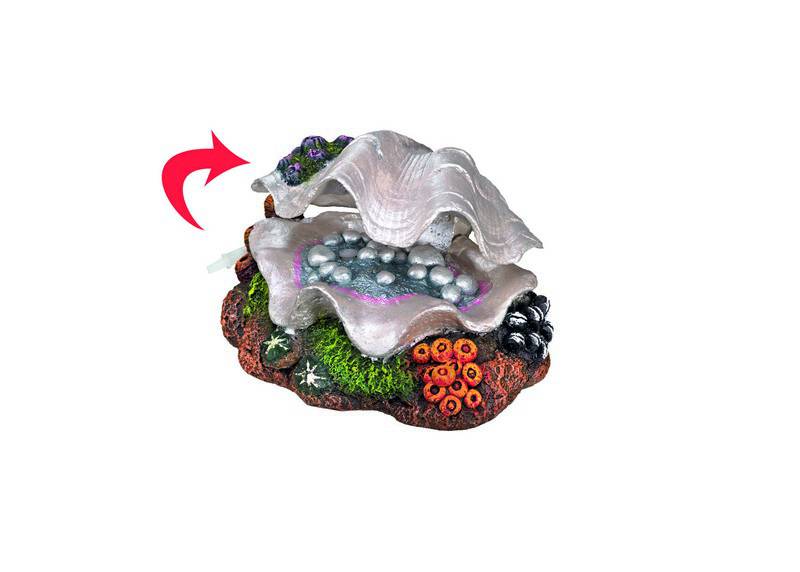 Ornament pentru acvariu | 'CLAM' | L17,5 X W13 X H10 CM
