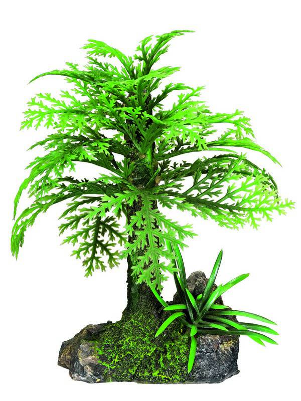 Ornament pentru acvariu | 'PLANT' | L8,2 X W9 X H14 CM