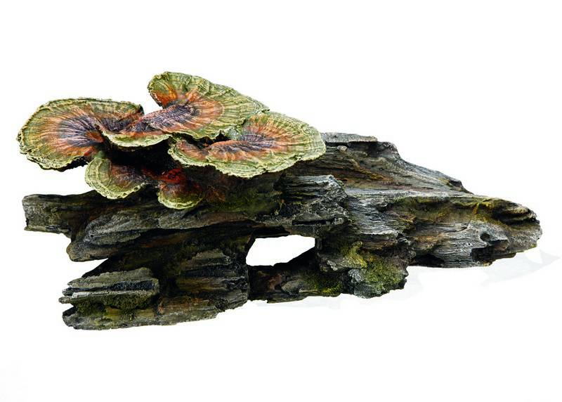Ornament pentru acvariu | 'WOOD WITH MUSHROOM' | L34 X W19 X H12,5 CM