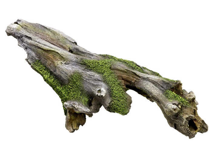 Ornament pentru acvariu | WOOD