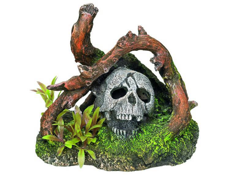 Ornament pentru acvariu | 'SCULL WITH WOOD' | L12 X W9,5 X H10 CM