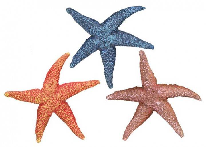 Ornament pentru acvariu | 'STARFISH' ASSORTMENT 2 | L12,5 X W12 X H2 C