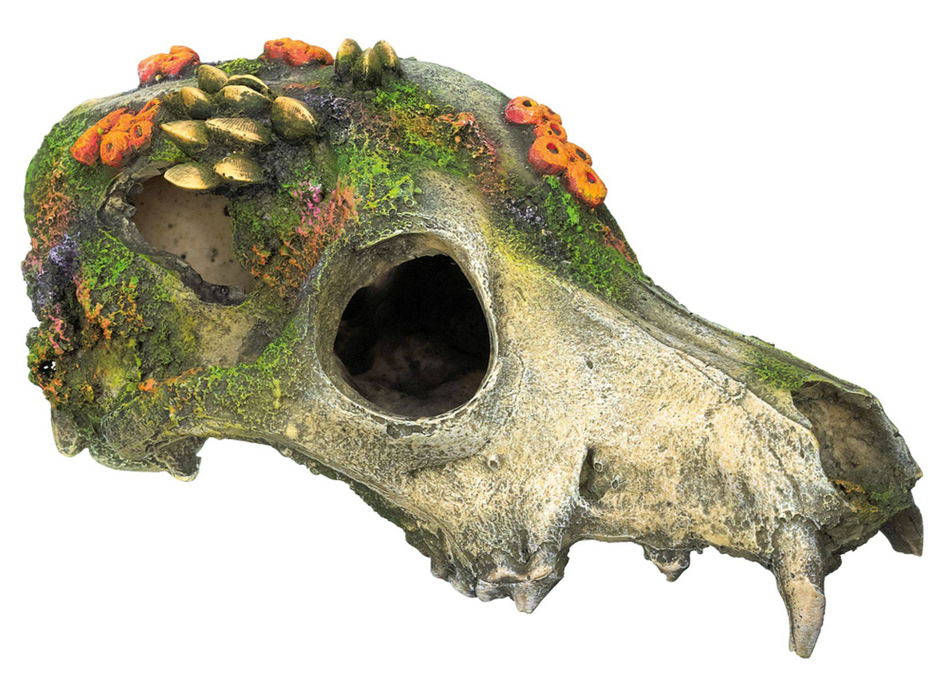 Ornament pentru acvariu | 'SKULL DE ANIMAL' - cu corali | L17,5 X W10,0 X H8