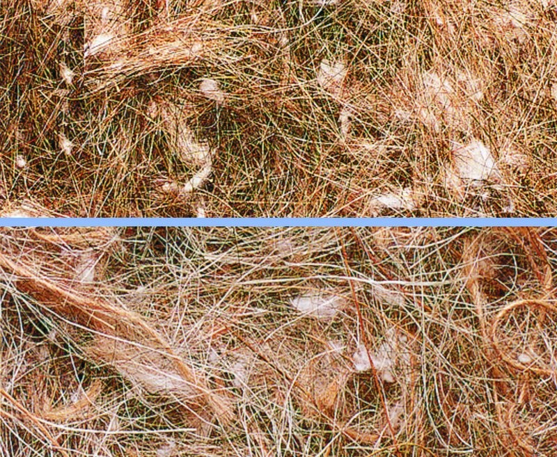 Asternut pentru cuib pentru păsări 'PELO ANIMALE' | 100 G