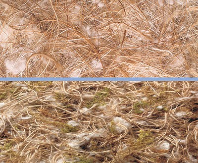 Asternut din fibră de nucă de cocos/sisal/iută/bumbac pentru păsări | 500 G