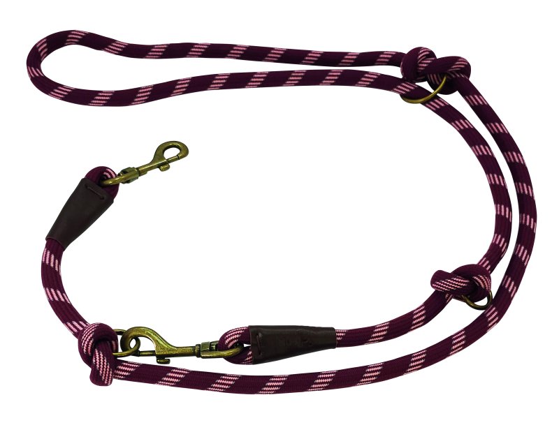 Lesa antrenament 'SPORTY' pentru câini | l: 200 cm; w: 13 mm | rosu