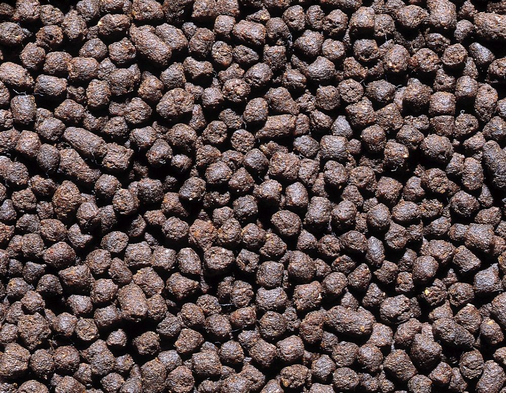 HRANA PENTRU STURGENI, PUNGĂ 3000 ML