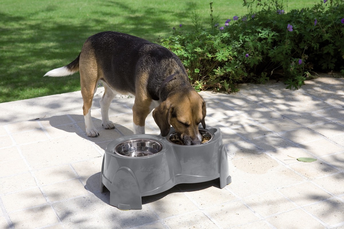 Castron dublu cu suport 'ERGO FEEDER' | 2 X 850 ML