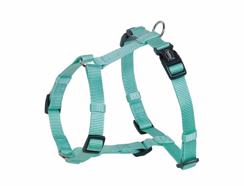 Ham pentru câini 'CLASSIC' | menta | piept: 14/20 CM; W: 10 MM