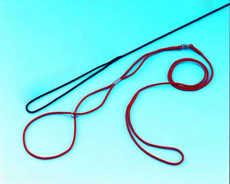 Lesă de prezentare, ROȘU L: 120 CM; W: 3 MM