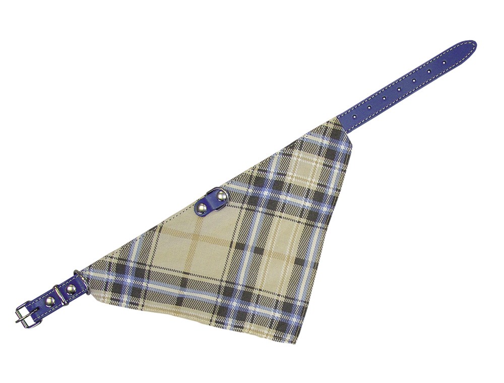 Zgarda din piele cu esarfa pentru caini | albastru | L: 45 CM