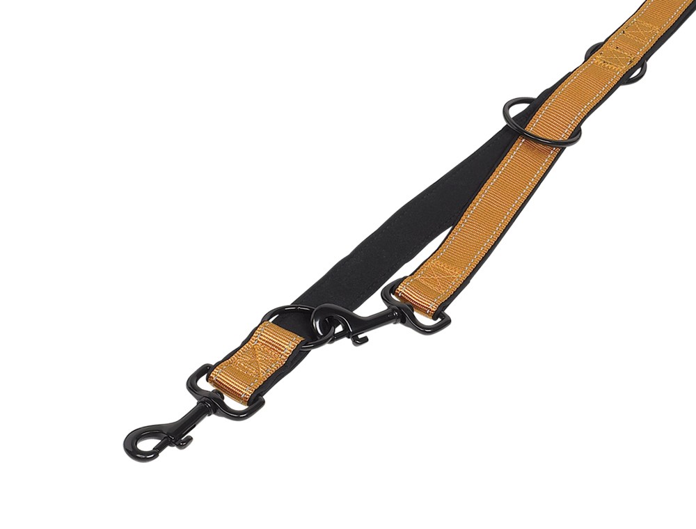 Lesă de antrenament 'CLASSIC REFLECT SOFT', AURIE / NEAGRĂ L: 200 C