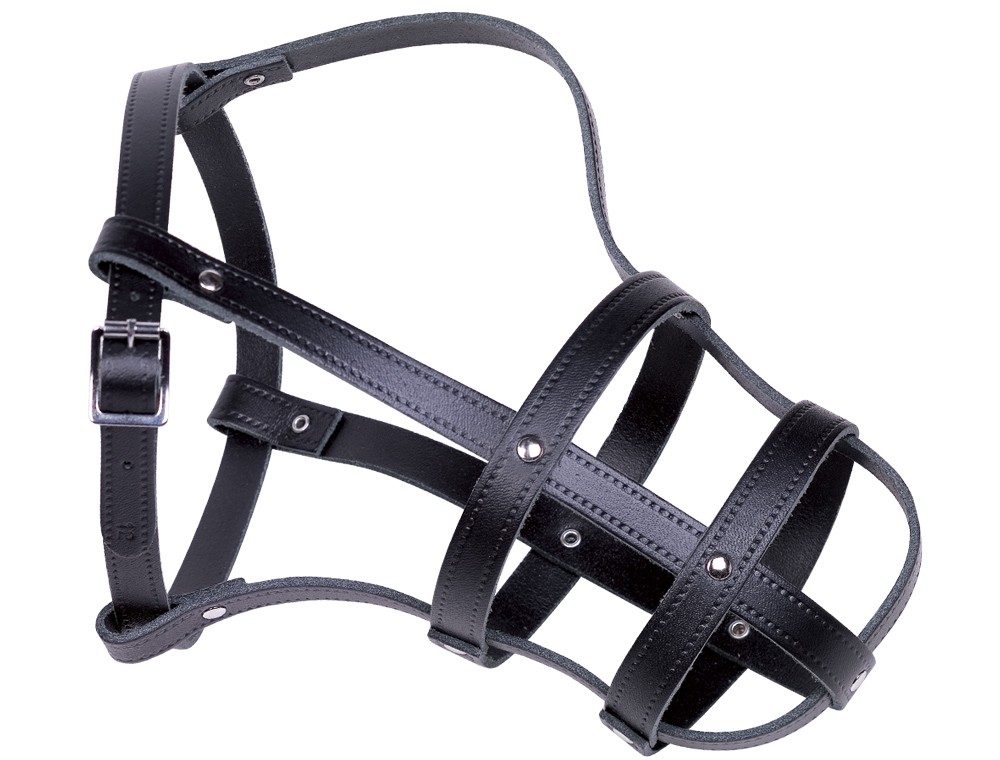 Botnita din piele pentru caini | marimea : 10; 42/52 CM