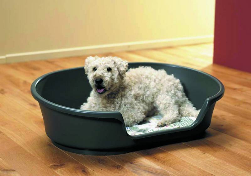 'COSY-AIR' maro | 45 CM pentru câini