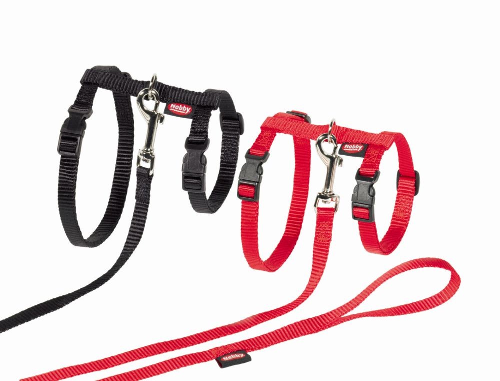 Set pentru pisici XL | roșu