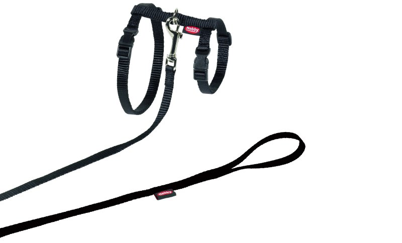 Set pentru pisici XL | negru