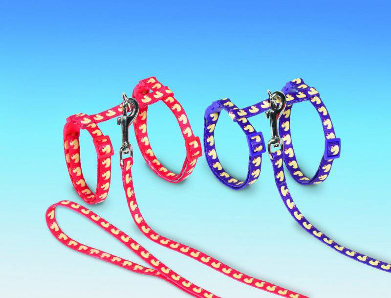 Set pisică 'DUCK' roșu pentru pisici