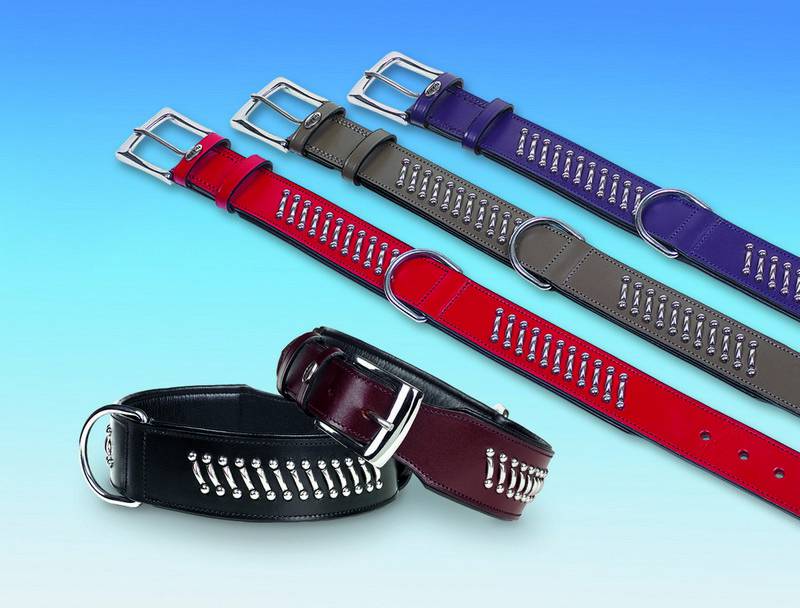 ZGARDĂ DIN PIELE 'SHIWA' ROȘU PENTRU CÂINI L: 50 CM; W: 40 MM