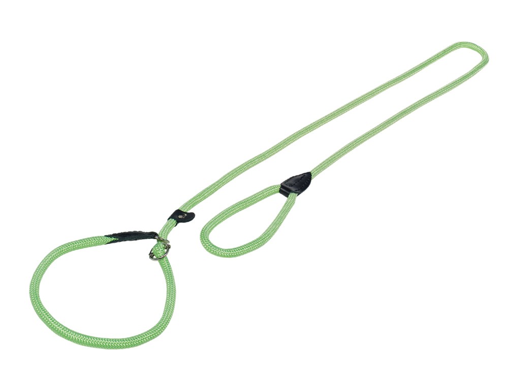 Lesă pentru câini RETRIEVER 'FUN ROYAL', NEO GREEN L: 170 CM; W: 9 MM