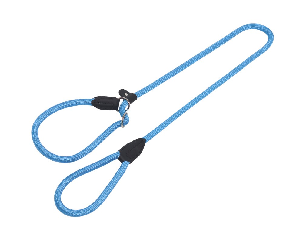 Lesă pentru câini RETRIEVER 'FUN ROYAL', LIGHT BLUE L: 170 CM; W: 13 MM