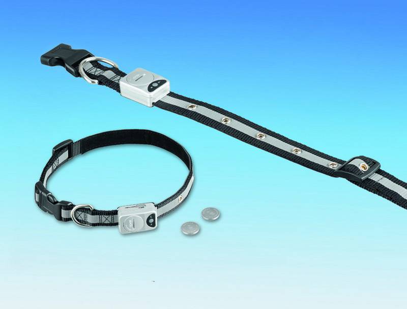 Zgarda cu LED pentru câini | XS | 12 MM; 22-30 CM