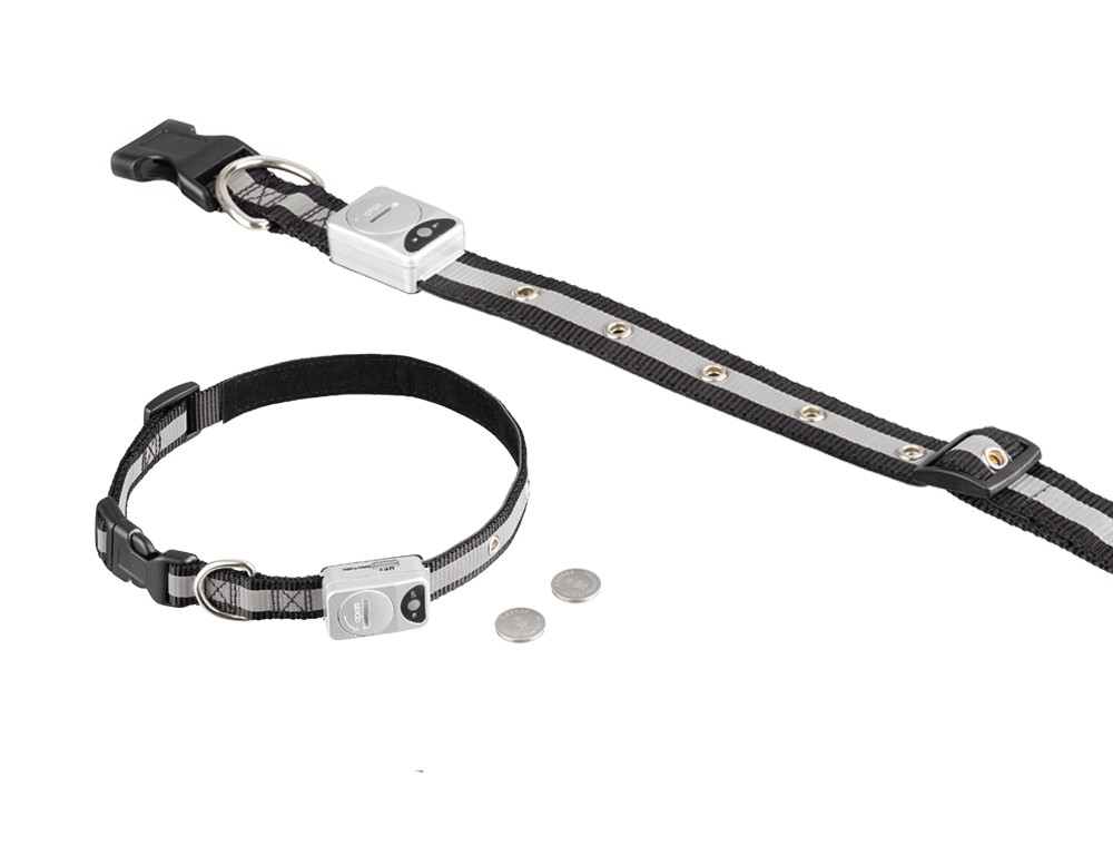 Zgarda cu LED pentru câini | S | 15 MM; 30-40 CM