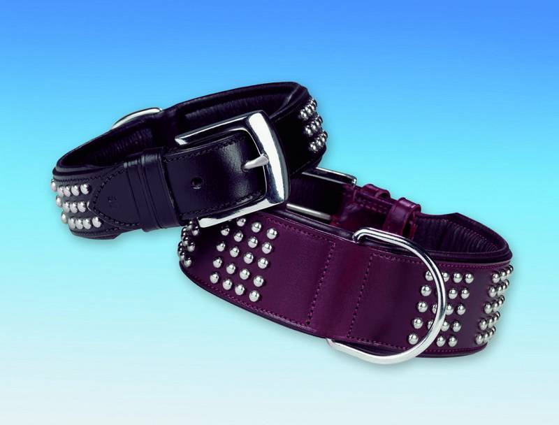 Zgarda din piele pentru câini 'VINTO' | negru | din piele de bivol | 50 CM (44-48 CM); 35 MM