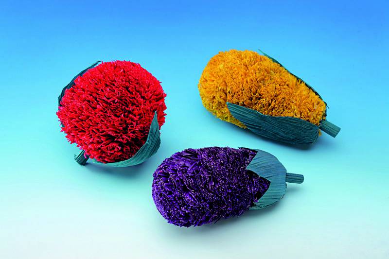 NIBBLES-FRUITS 7 CM; 3 PIECES