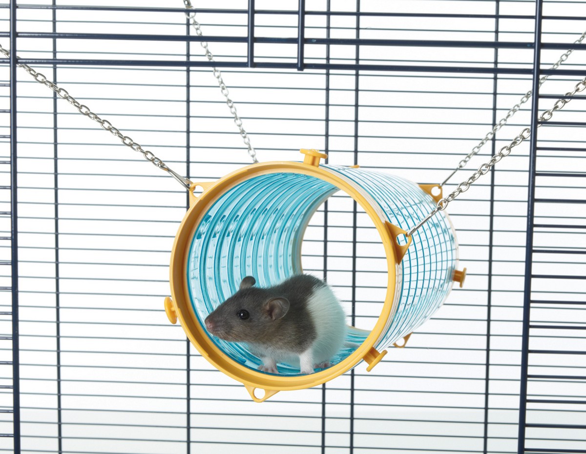 PIPE GIANT TUBE, 11 X 31 CM pentru pisici