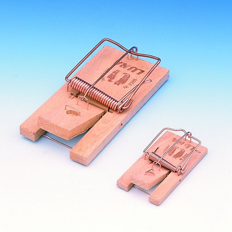 Cursa pentru soareci 'LUNA'