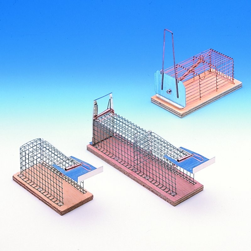 Cursa pentru sobolani 'LUNA' | 15 CM | 1 intrare