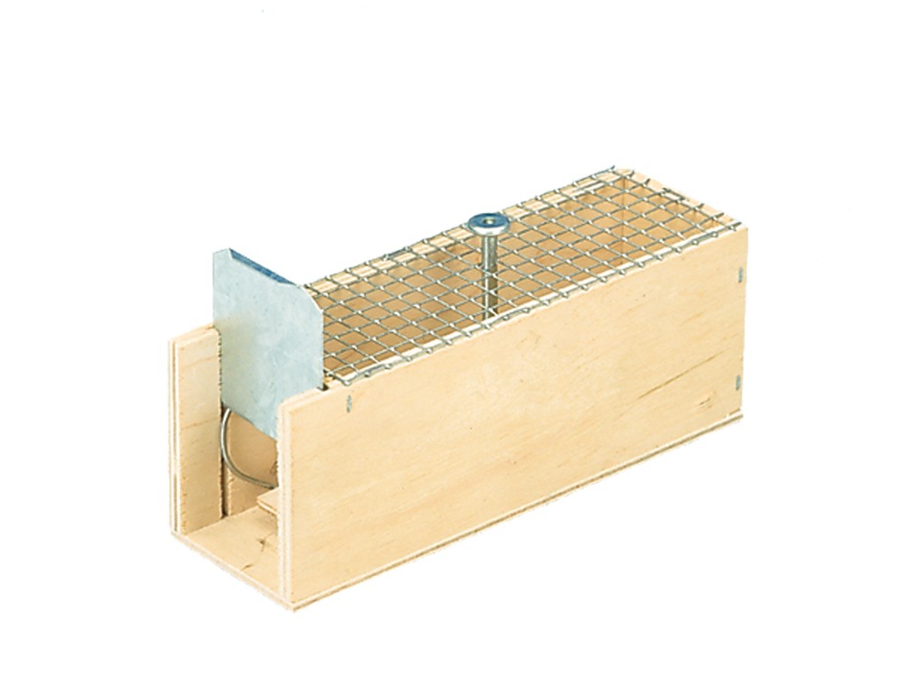 Cursa dreptunghiulara pentru soareci | 1 intrare