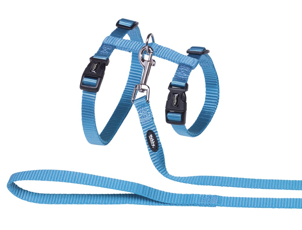 Set Ham + Lesa pentru pisici turcoaz