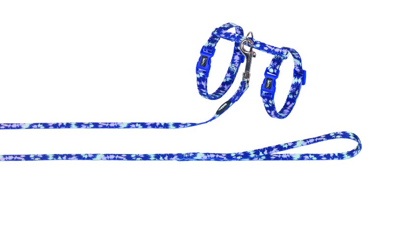 Set ham si lesa pentru pisici | 'Paintball' | navy multicolor