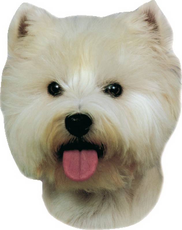 Autocolant 'WEST HIGHLAND TERRIER' | 120 X 150 MM; 2BUC.