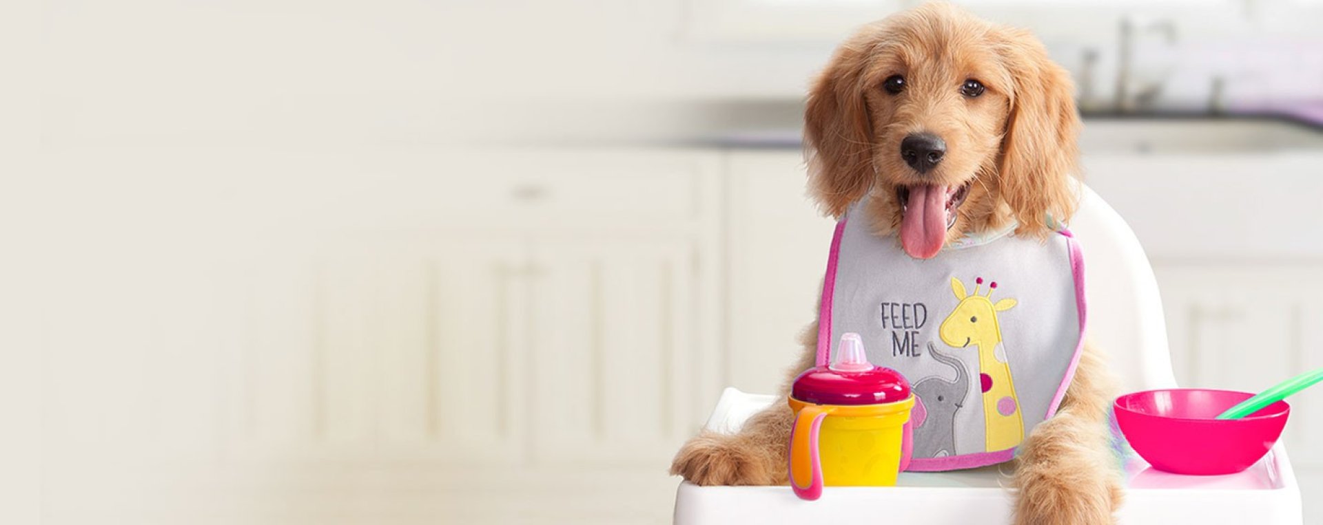 Cea mai buna măncare