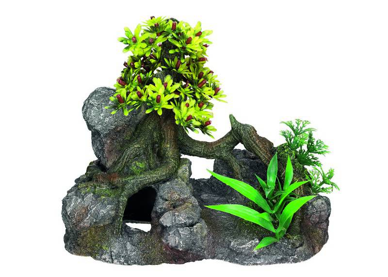 Ornament pentru acvariu | 'TREE ON ROCK' - cu plante | L19 X W11,5 X