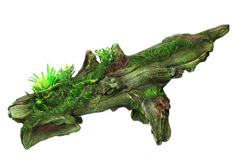 Ornament pentru acvariu | 'WOOD' - cu plante | L35,5 X W17 X H16 CM