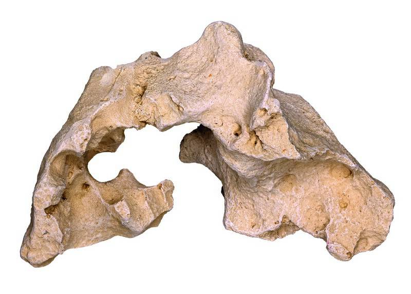 Ornament pentru acvariu | 'STONE' | L18,7 X W10,5 X H10,5 CM