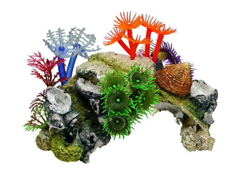 Ornament pentru acvariu | CORAL STONE cu plante | L14 X W7,5 X H8,5 C