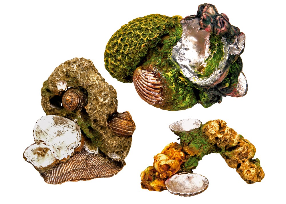 Ornament pentru acvariu | CORAL STONE WITH MUSSELS | asortate | 4,5-7cm
