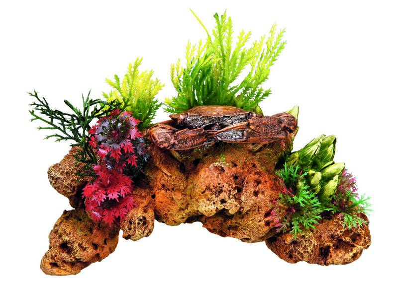 Ornament pentru acvariu | CORAL STONE - cu plante | L16,5 X W9,5 X