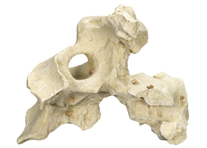 Ornament pentru acvariu | 'STONE' | L31,5 X W17 X H24 CM