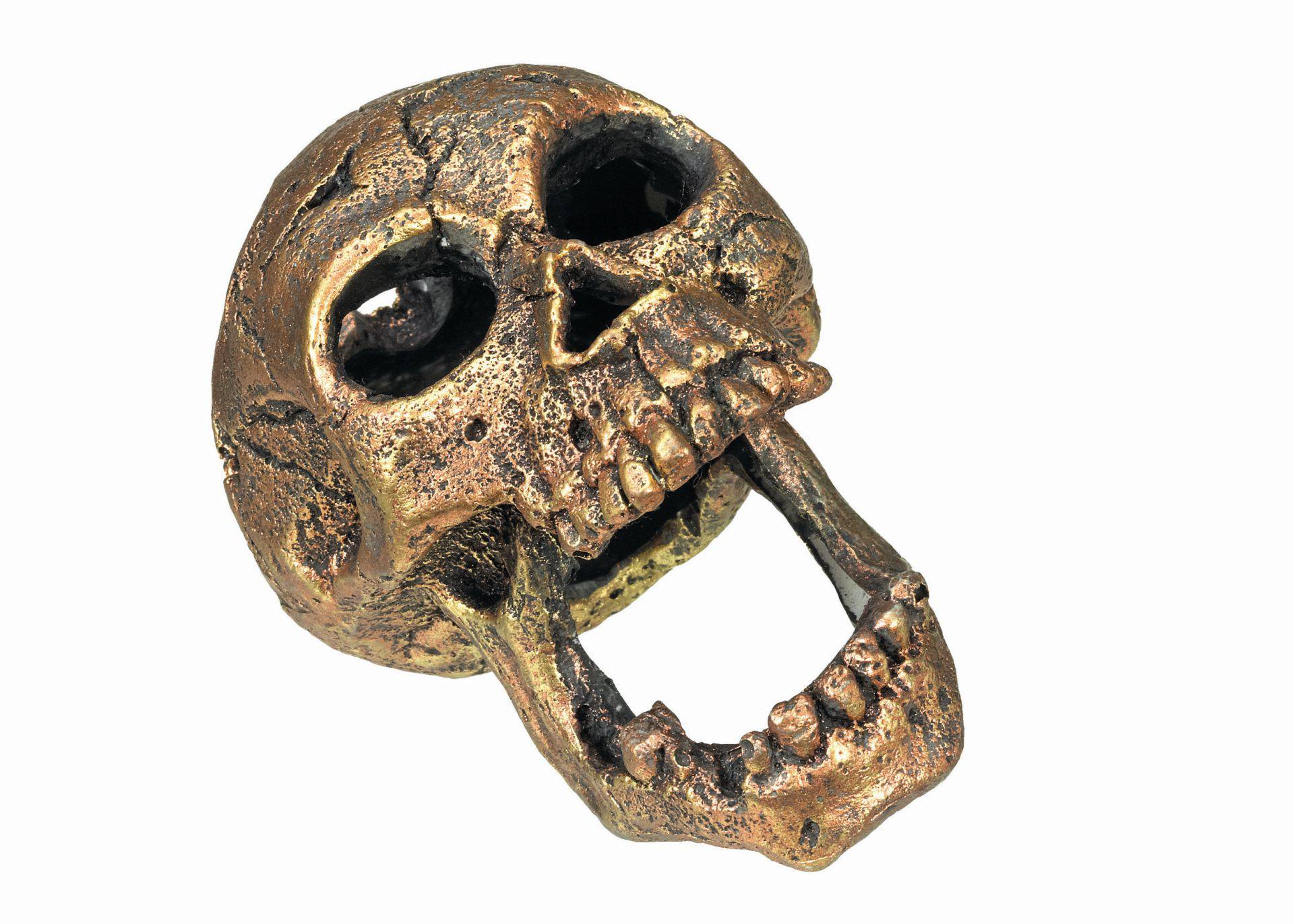 Ornament pentru acvariu | 'SKULL' GOLD | L11 X W7,5 X H8 CM