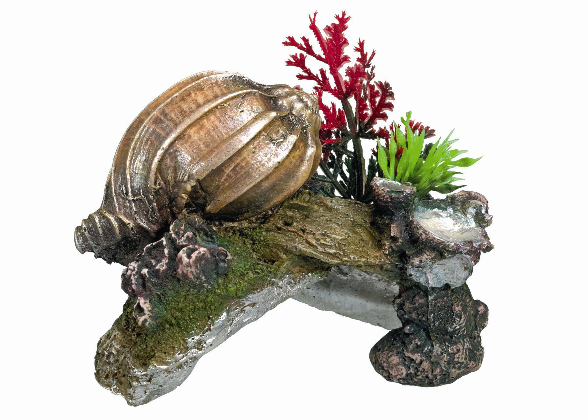 Ornament pentru acvariu | SHELL cu plante | L11 X W7,5 X H8,5 CM
