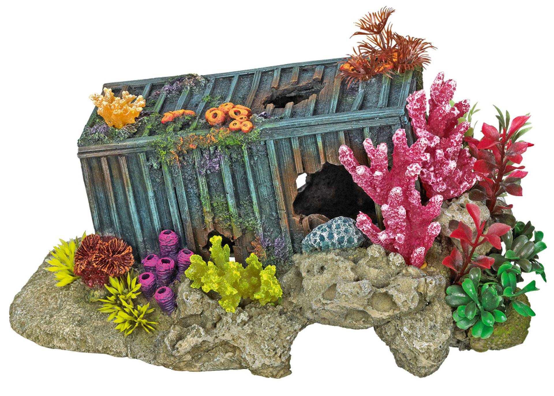Ornament pentru acvariu | CONTAINER - W.CORAL cu plante | L30,0 X W19