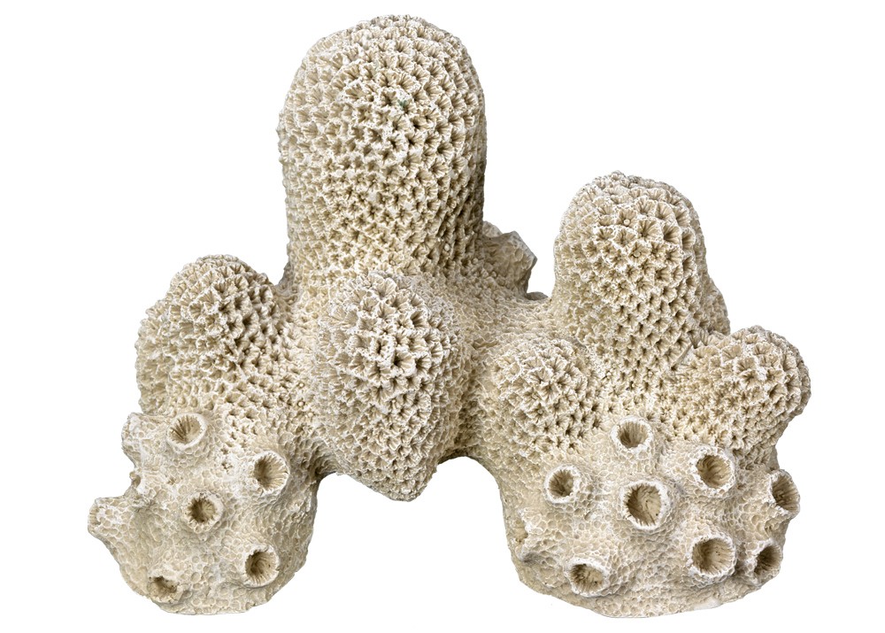 Ornament pentru acvariu 'CORAL' | L14,5 X W11,3 X H10,2 CM